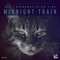 Midnight Train - Max Freegrant & Slow Fish lyrics