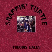 Snappin' Turtle artwork