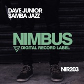 Samba Jazz (Dub Mix) artwork