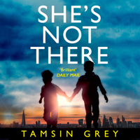 Tamsin Grey - She’s Not There artwork