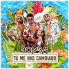 Tú Me Has Cambiado - Single