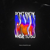 Don't Know Where to Go artwork