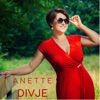 Divje - Single