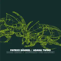Roar Remix / Aufstand der Massen - Single by Patrice Bäumel & Adana Twins album reviews, ratings, credits