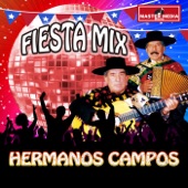 Fiesta Mix los Hermanos Campos artwork
