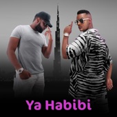 Ya Habibi artwork