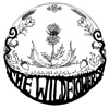 The Wildflowers - EP