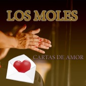 Cartas de Amor artwork
