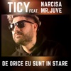 De Orice Eu Sunt in Stare - Single (feat. Narcisa & Mr. Juve) - Single, 2021