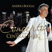 Concerto: One Night in Central Park (Live) artwork