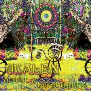 lataa albumi Atriohm & Encephalopaticys - Ukalen
