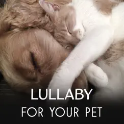 Lullaby for Your Pet - Relaxing Music for Dogs & Cats, Calming Sounds to Reduce Stress of Animals, Music Therapy for Pets Comfort & Happiness by Cats Music Zone album reviews, ratings, credits