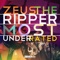 Broken Empire Music (feat. Johnny CashChecks) - Zeus the Ripper lyrics