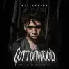 Cottonwood album lyrics, reviews, download