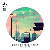 Mr.Drops - Aint No Stoppin This (Original Mix)