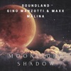 Moonlight Shadow - Single