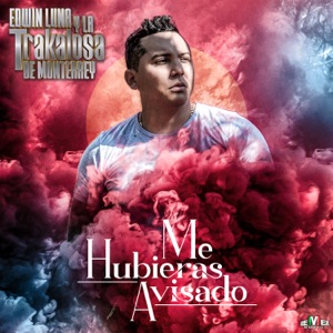 Me Hubieras Avisado - Single