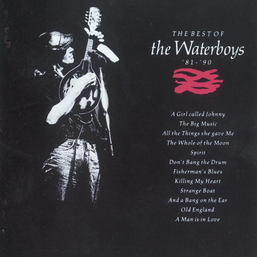 Art for The Whole Of The Moon by The Waterboys