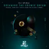 Stream & download Dreaming the Cosmic Dream