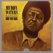Muddy Waters - Gypsy Woman
