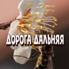 Дорога дальняя - Single