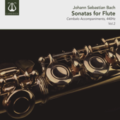 Flute Sonata in E Minor, BWV 1034: III. Andante (440Hz) [Instrumental] - Brian Lee
