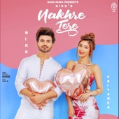 Nakhre Tere artwork