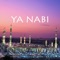 Ya Nabi (feat. Jannat) - Wegz lyrics