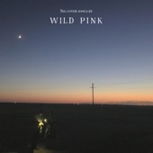 Wild Pink - We Are Never Ever Getting Back Together