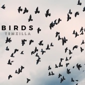 Birds artwork