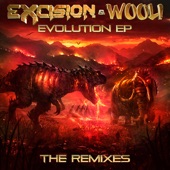Evolution (The Remixes) artwork