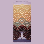 Jake Xerxes Fussell - Jump for Joy