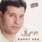 Garhy Ana - Hany Shaker lyrics