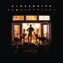 Hands of Glory by Andrew Bird album reviews, ratings, credits