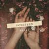 Consumed - Single