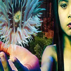 Lifeforms by The Future Sound of London album reviews, ratings, credits