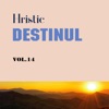 Destinul, Vol. 14