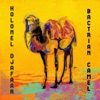 Bactrian Camel - Single