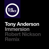 Immersion (Robert Nickson Remix) artwork