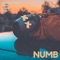 Numb (feat. Reiis, Kwasi & HFNR) - Brandon Stone lyrics