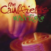 The Caulfields - Devil's Diary