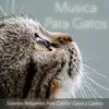 Música para Gatos: Sonidos Relajantes para Calmar Gatos y Gatitos album lyrics, reviews, download