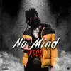 No Mind - Single album lyrics, reviews, download