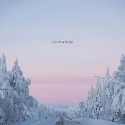 Levitating - Single by ItsAMoney album reviews, ratings, credits