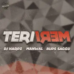 Teri Meri - Single by Bups Saggu, DJ Harpz & Manwal album reviews, ratings, credits
