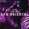 23 Spa Oriental - Relájese y Renuévese, de Pies a Cabeza, Música de Serenidad Absoluta para el Spa y Terapias de Relajación y Tratamientos Holístico, Sonidos de la Naturaleza