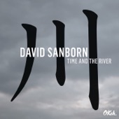 David Sanborn - Oublie Moi