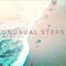 Unusual Steps - Nestor Zurita lyrics