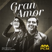 Gran Amor (feat. Valeska Muñoz) artwork