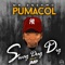 Swag Dug Dig (feat. Pumacol) - Ngoma Republic lyrics